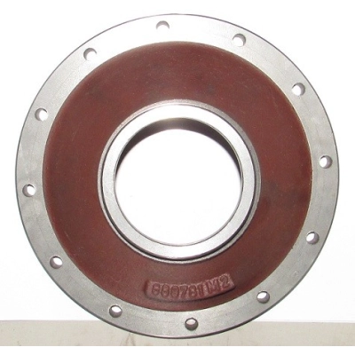 Pokrywa pochwy 894781M1