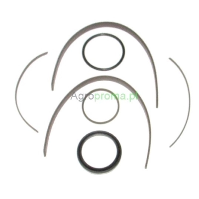 Zestaw naprawczy wysprzęglika 3900244M91 MASSEY FERGUSON