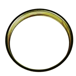 399796R1 Pierścień osłona uszczelniacza CASE CX100, CX70, CX80, CX90