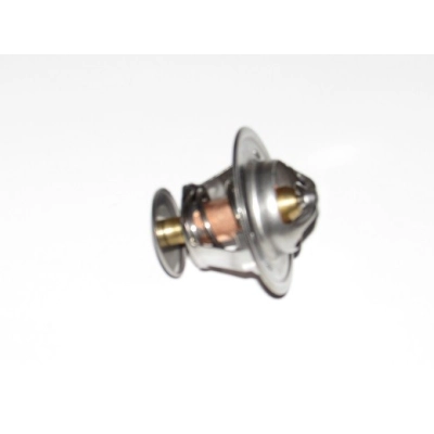 1447384M1 Termostat  2485613, 2485605