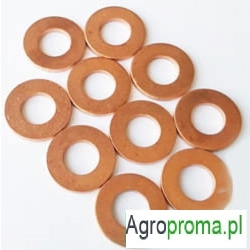 1645935P91, Podkładka wtryskiwacza Massey Ferguson 5365 675 690 698 699