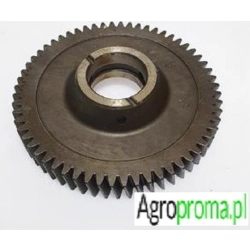 3695946M1, Koło zębate Z-60 MASSEY FERGUSON 3615 3625