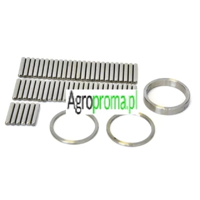 Komplet igiełek biegu wstecznego 183039M1