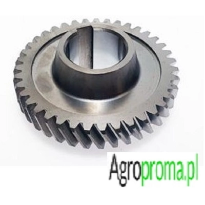 198100080080, Koło skrzyni Z-39