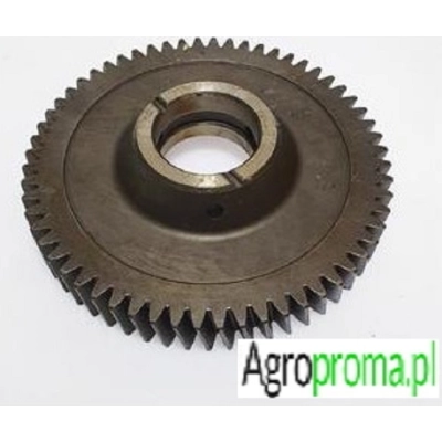 3695946M1, Koło zębate Z-60 MASSEY FERGUSON 3615 3625