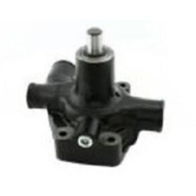 4222506M91, Pompa wody LANDINI 4530V 5530F 5530L