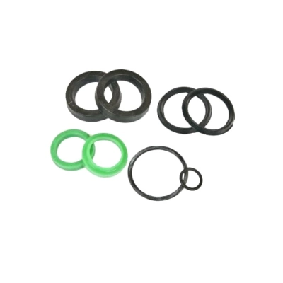 Zestaw uszczelek przekładni jazdy F174 Bizon Z-056