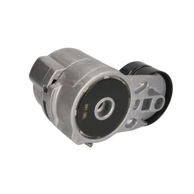 napinacz paska klinowego bf6m2012